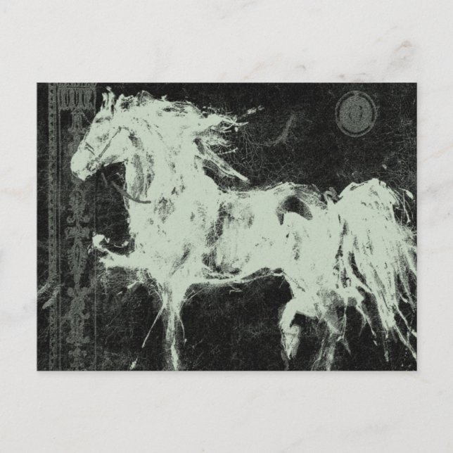 The Black Stallion ~ Postcard (Front)