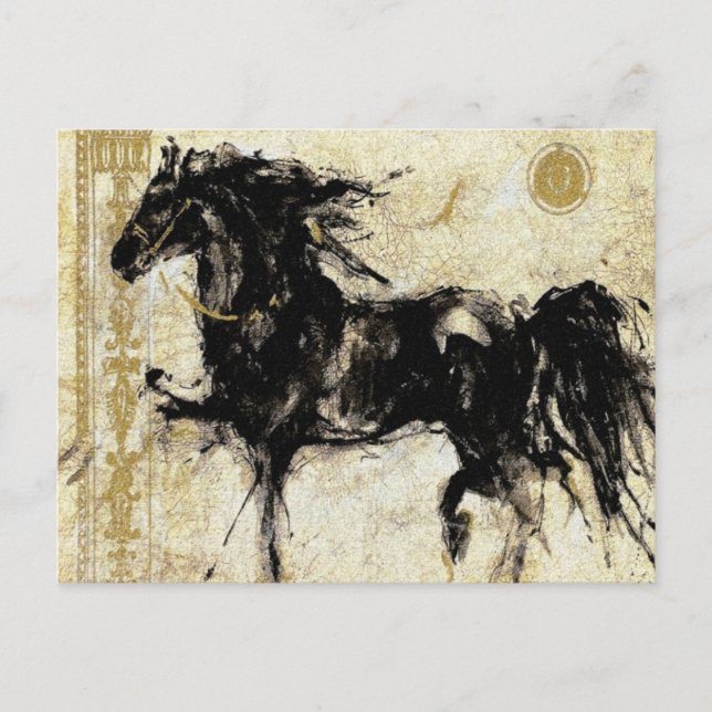 The Black Stallion ~ Postcard (Front)