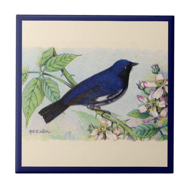 The Black-Throated Blue Warbler Bird Ceramic Tile (Front)