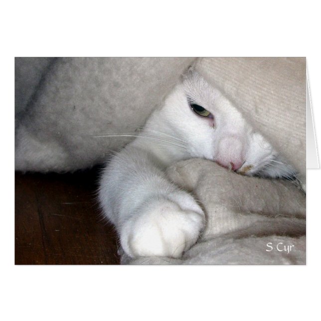 The Blanket Game, S Cyr (Front Horizontal)