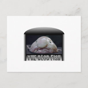 The Blob Fish Postcard