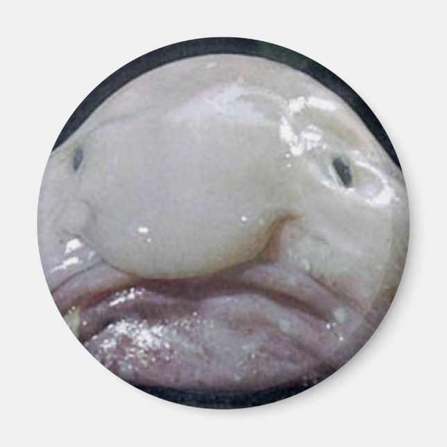 The Blobfish Magnet (Front)