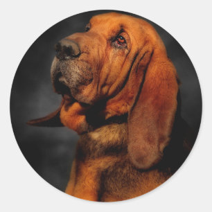 The Bloodhound Classic Round Sticker