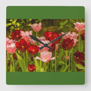 THE BLOSSOMING OF TULIPS IN A PARK WALL CLOCK