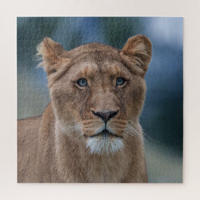 The Blue-Eyed Lioness Jigsaw Puzzle (Vertical)
