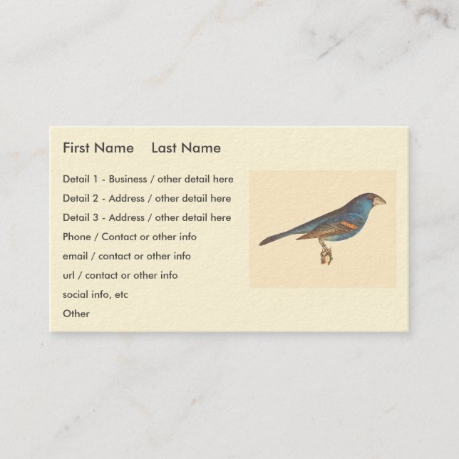 The Blue Grosbeak, James De Kay's New York Birds Business Card (Front)