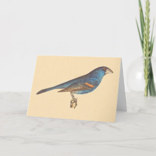 The Blue Grosbeak, James De Kay's New York Birds Card