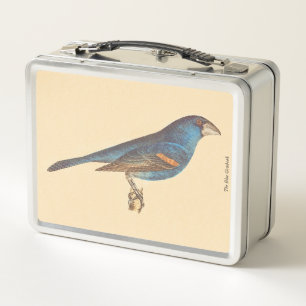 The Blue Grosbeak, James De Kay's New York Birds Metal Lunch Box