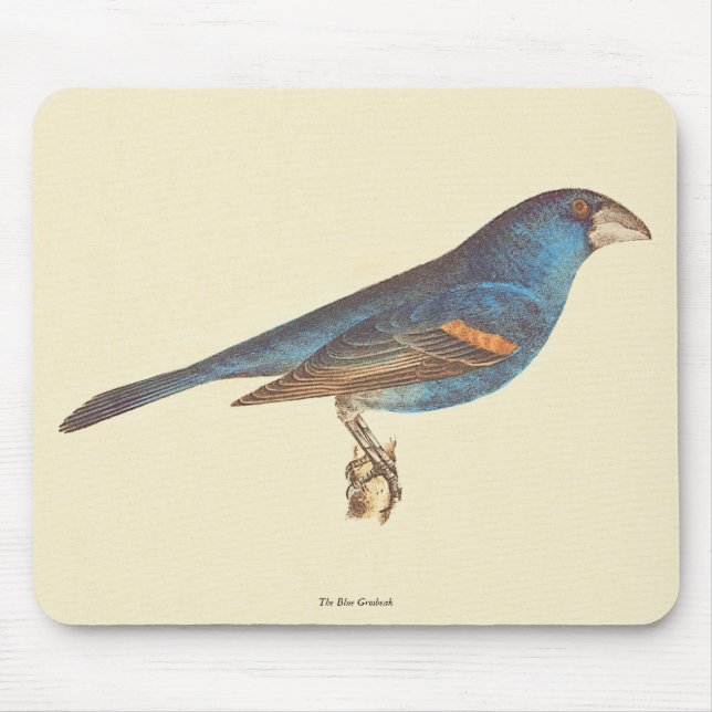 The Blue Grosbeak, James De Kay's New York Birds Mouse Mat (Front)