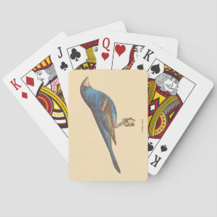 The Blue Grosbeak, James De Kay's New York Birds Playing Cards