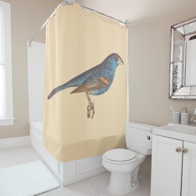 The Blue Grosbeak, James De Kay's New York Birds Shower Curtain (In Situ)