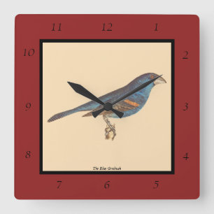 The Blue Grosbeak, James De Kay's New York Birds Square Wall Clock