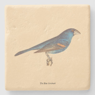 The Blue Grosbeak, James De Kay's New York Birds Stone Coaster