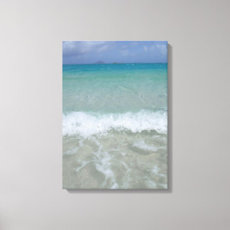 The blue lagoon canvas print