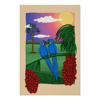 The Blue Macaw and the acuri coconut Poster