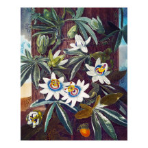 The blue passion flower