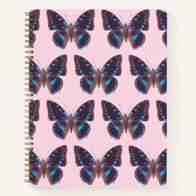 The Blue Swallowtail Butterfly Hardcover  Notebook (Front)