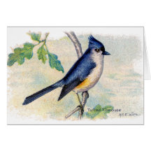 The Blue Tufted Bird Thank You Card