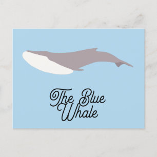 The Blue Whale Colour Block Holiday Postcard