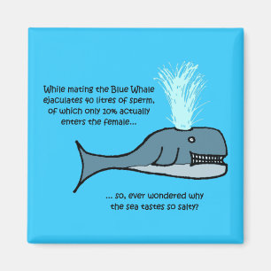 The Blue Whale... Magnet