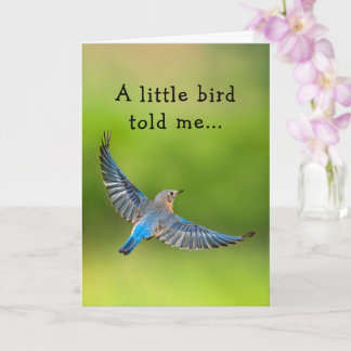 The Bluebird of Happy Birthday Card