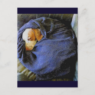 The Bo Ball Postcard