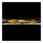 The body of the Dead Christ in the Tomb c. 1522