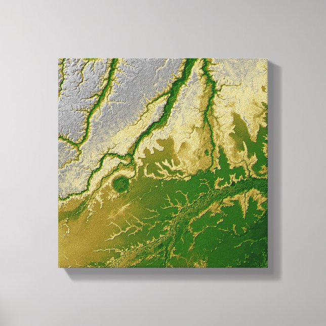 The Bolivian Amazon Canvas Print (Front)