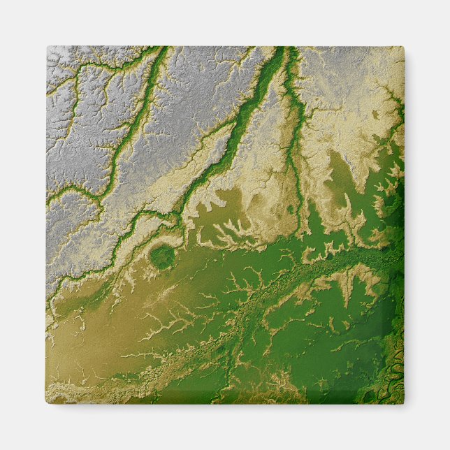 The Bolivian Amazon Magnet (Front)