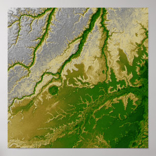 The Bolivian Amazon Poster