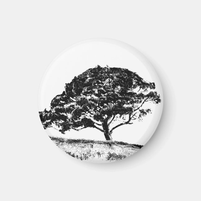 The Bonaventure Pine Magnet (Front)