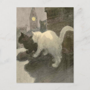 The Book of the Cat: A Night On Postcard