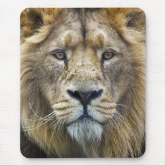 The Boss Mousemat