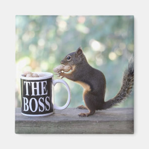 "The Boss" Squirrel Magnet