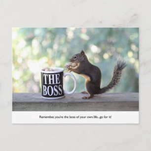 "The Boss" Squirrel Postcard