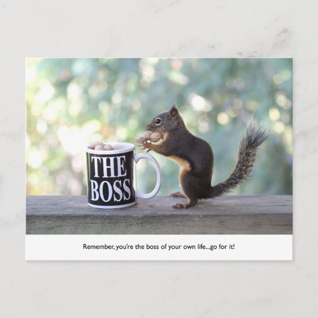 "The Boss" Squirrel Postcard (Front)