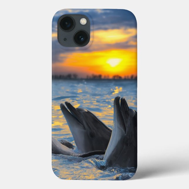 The bottle-nosed dolphins in sunset light Case-Mate iPhone case (Back)