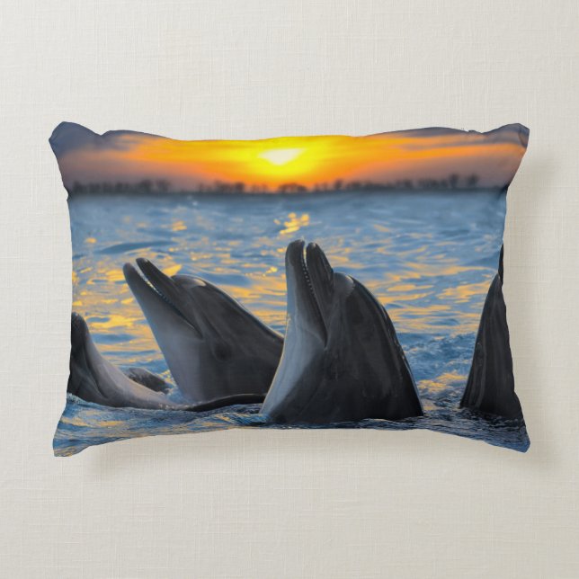 The bottle-nosed dolphins in sunset light decorative cushion (Front)