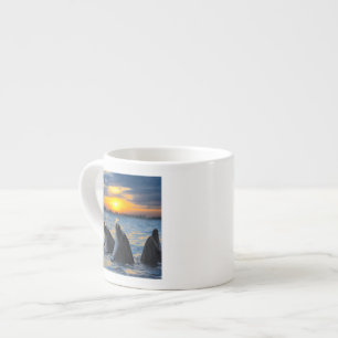 The bottle-nosed dolphins in sunset light espresso cup