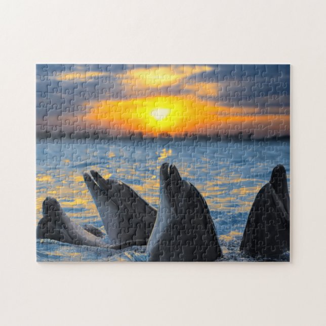 The bottle-nosed dolphins in sunset light jigsaw puzzle (Horizontal)