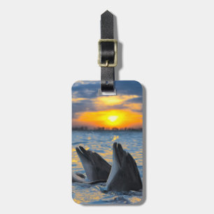 The bottle-nosed dolphins in sunset light luggage tag