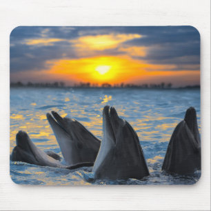 The bottle-nosed dolphins in sunset light mouse mat