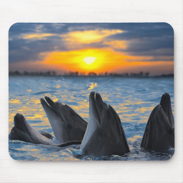 The bottle-nosed dolphins in sunset light mouse mat (Front)