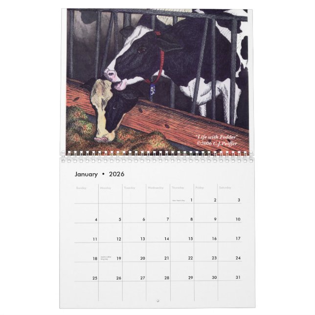 'The Bovine Comedy' Calendar (Jan 2026)