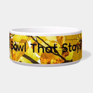 The Bowl That Stays Put – Non-Slip Pet Bowl