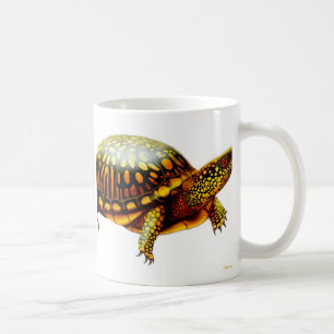 The Box Turtle Mug