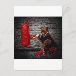 The boxing Pit Postcard