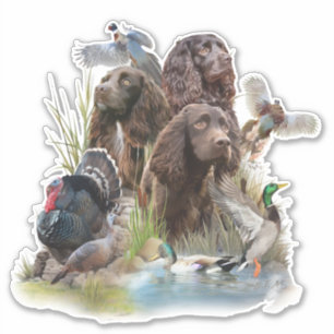 The Boykin Spaniel