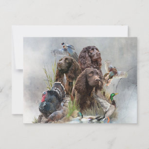 The Boykin Spaniel Postcard