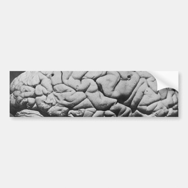 THE BRAIN OF CHARLES BABBAGE (1909) BUMPER STICKER (Front)